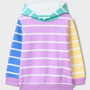 Hooded Sweatshirt in Multicolour Stripe