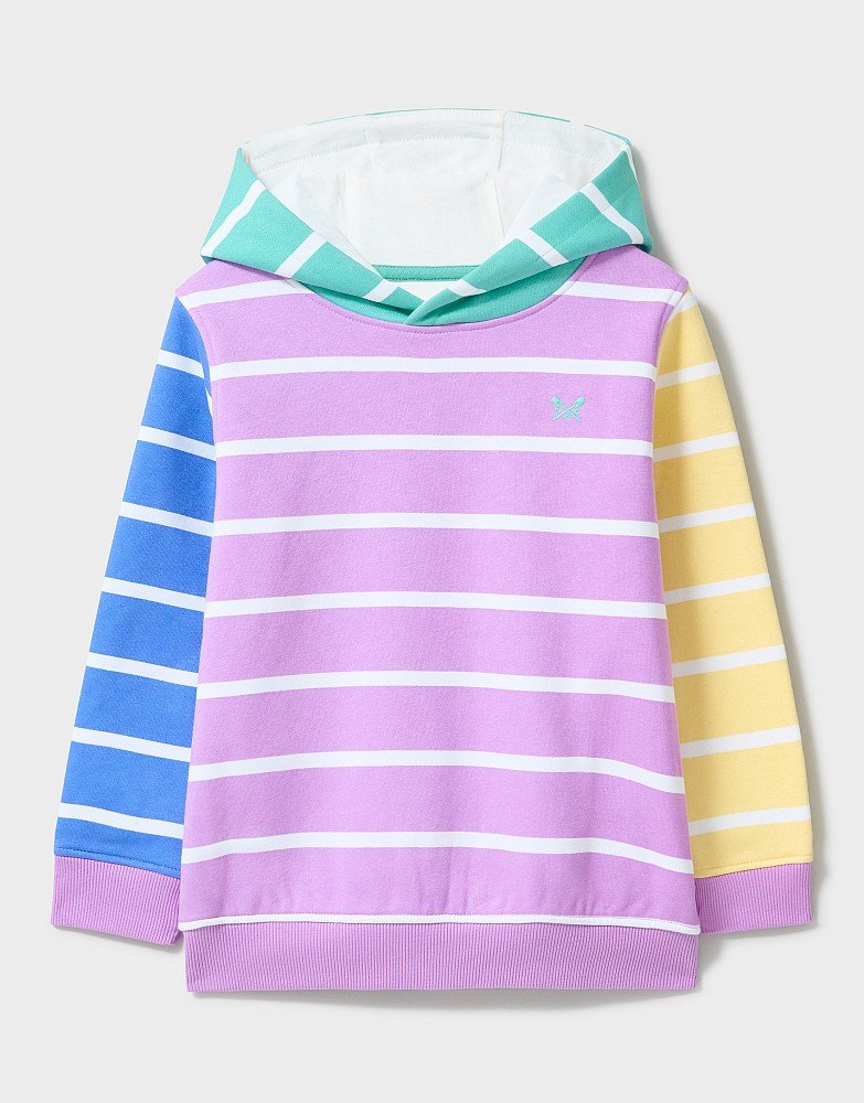 Hooded Sweatshirt in Multicolour Stripe